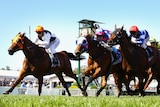 Woorim (left) races home on the outside to win the Group One Oakleigh Plate