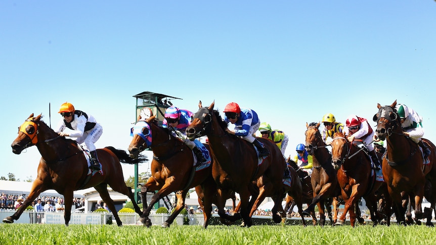 Woorim (left) races home on the outside to win the Group One Oakleigh Plate