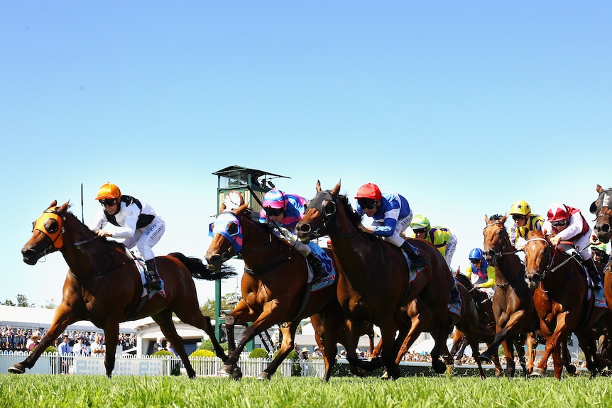 Woorim (left) races home on the outside to win the Group One Oakleigh Plate