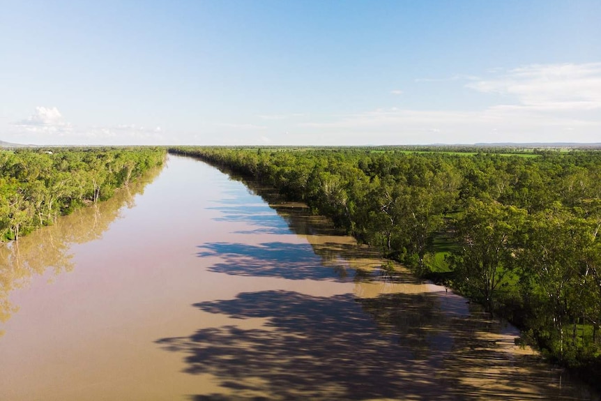 Drone shot of a river with lightly forested plains on either side.