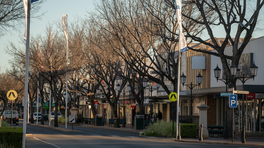 A main street with trees lining it and no people or cars.