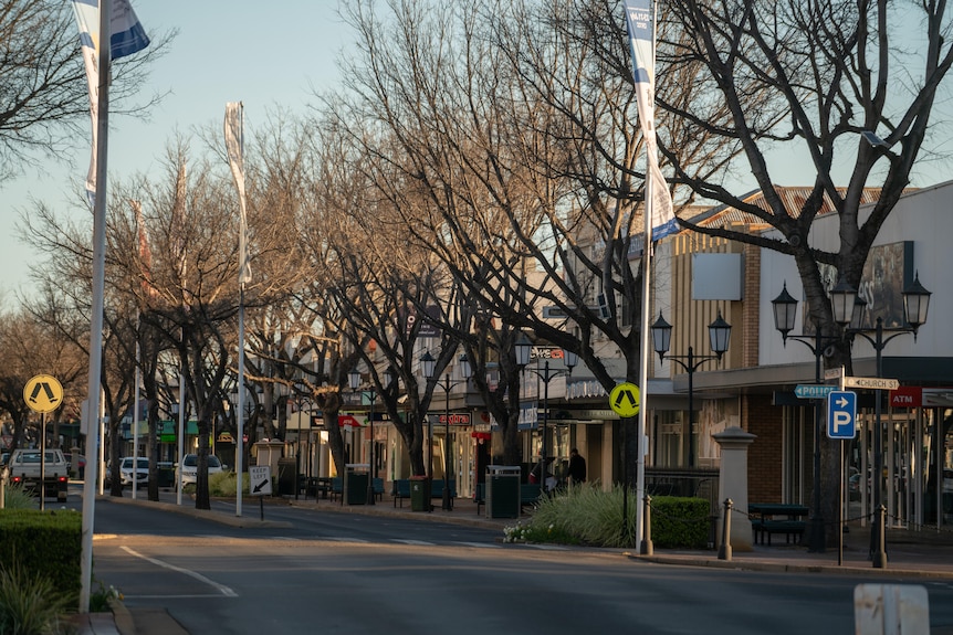 A main street with trees lining it and no people or cars.