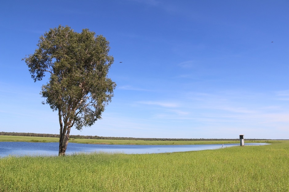 Water levels at Jabiluka Billabong