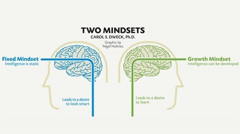 A graphic showing two images of brains, depicting two different types of mindsets: fixed and growth.