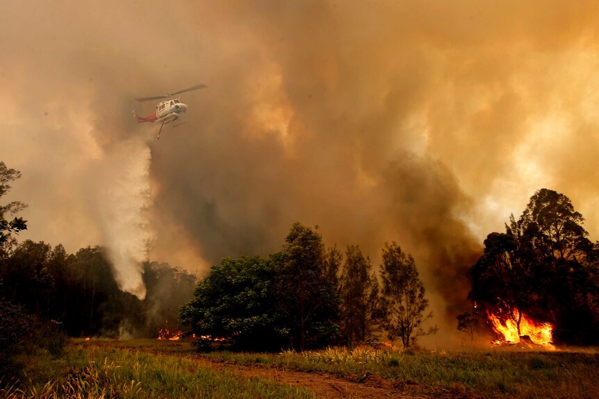 A helicopter dumps water on a blazing fire in New South Wales