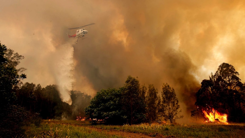 A helicopter dumps water on a blazing fire in New South Wales