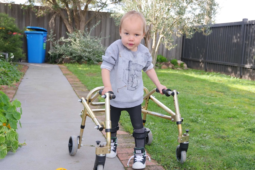 3 year old Jerry walking with his support frame in front yard