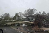 A tree is seen uprooted in front of a house during a storm on Groote Eylandt.