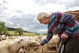 95-year-old Betty Watt feeding sheep at the property she has lived on since 1957
