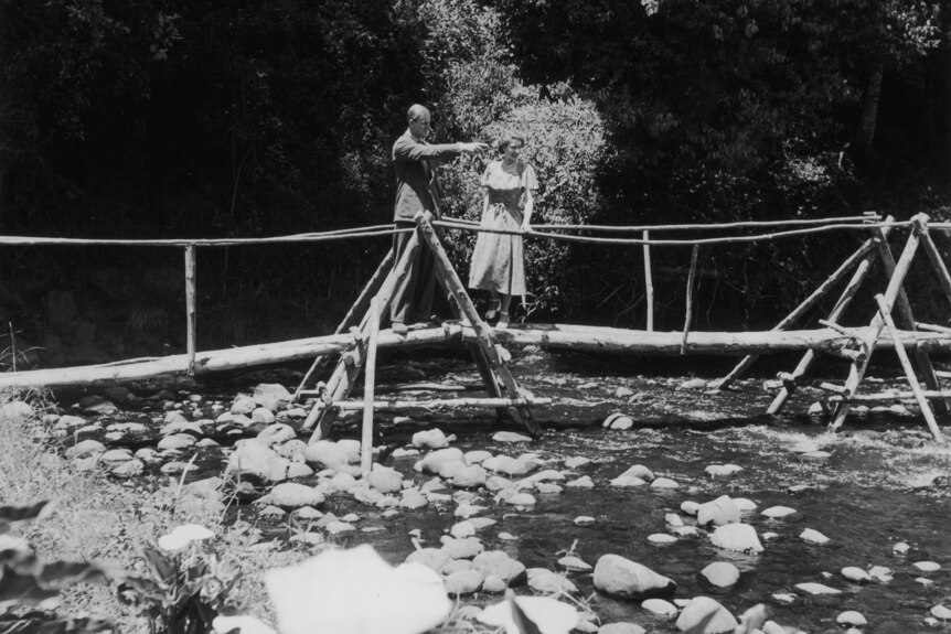 The duke points at something as he stands on a bridge with the princess