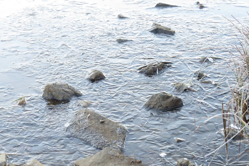 Suamarez creek frozen over in Kellys Plains, NSW.