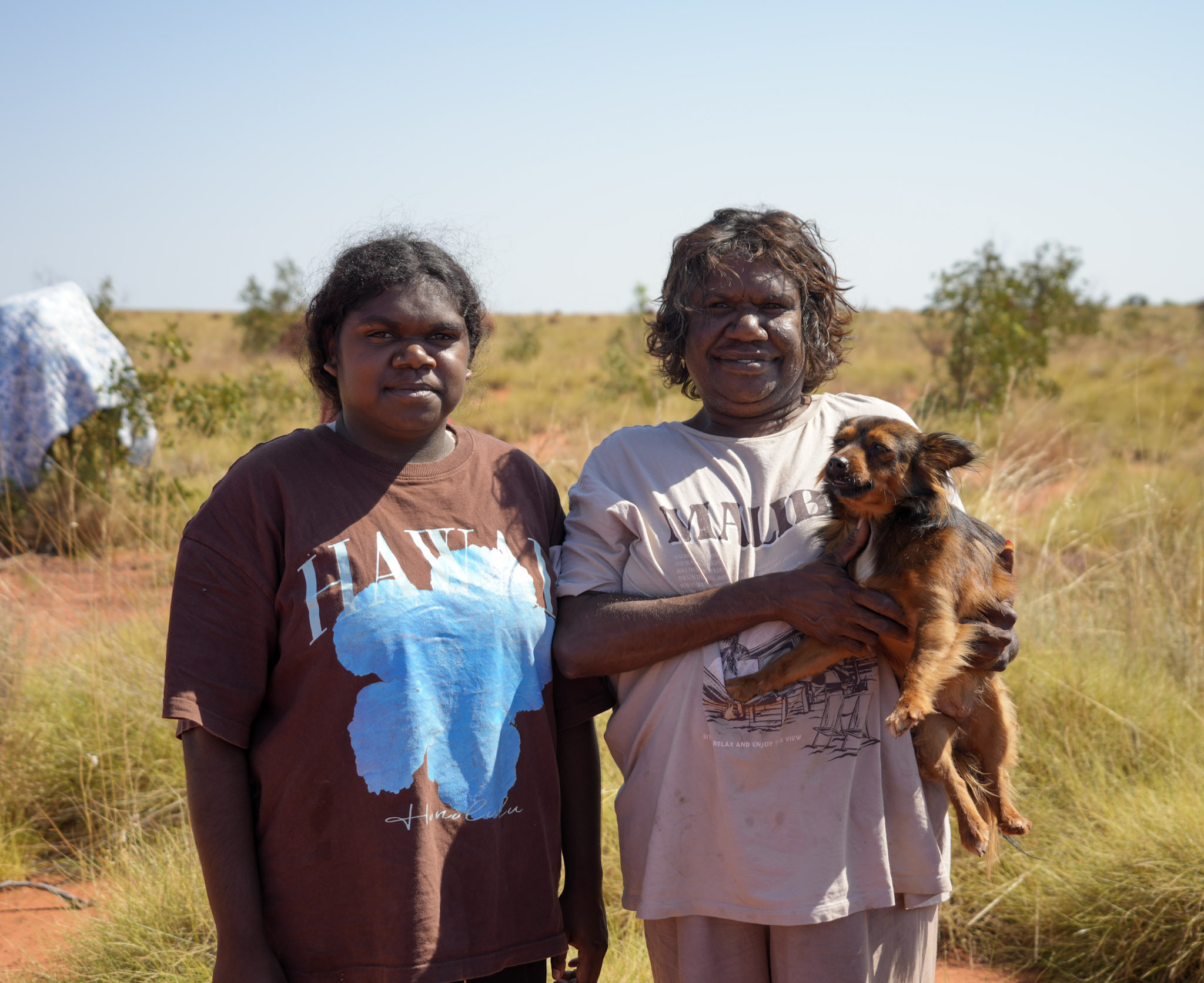 Dingoes play vital role in protecting animals from feral cats in desert