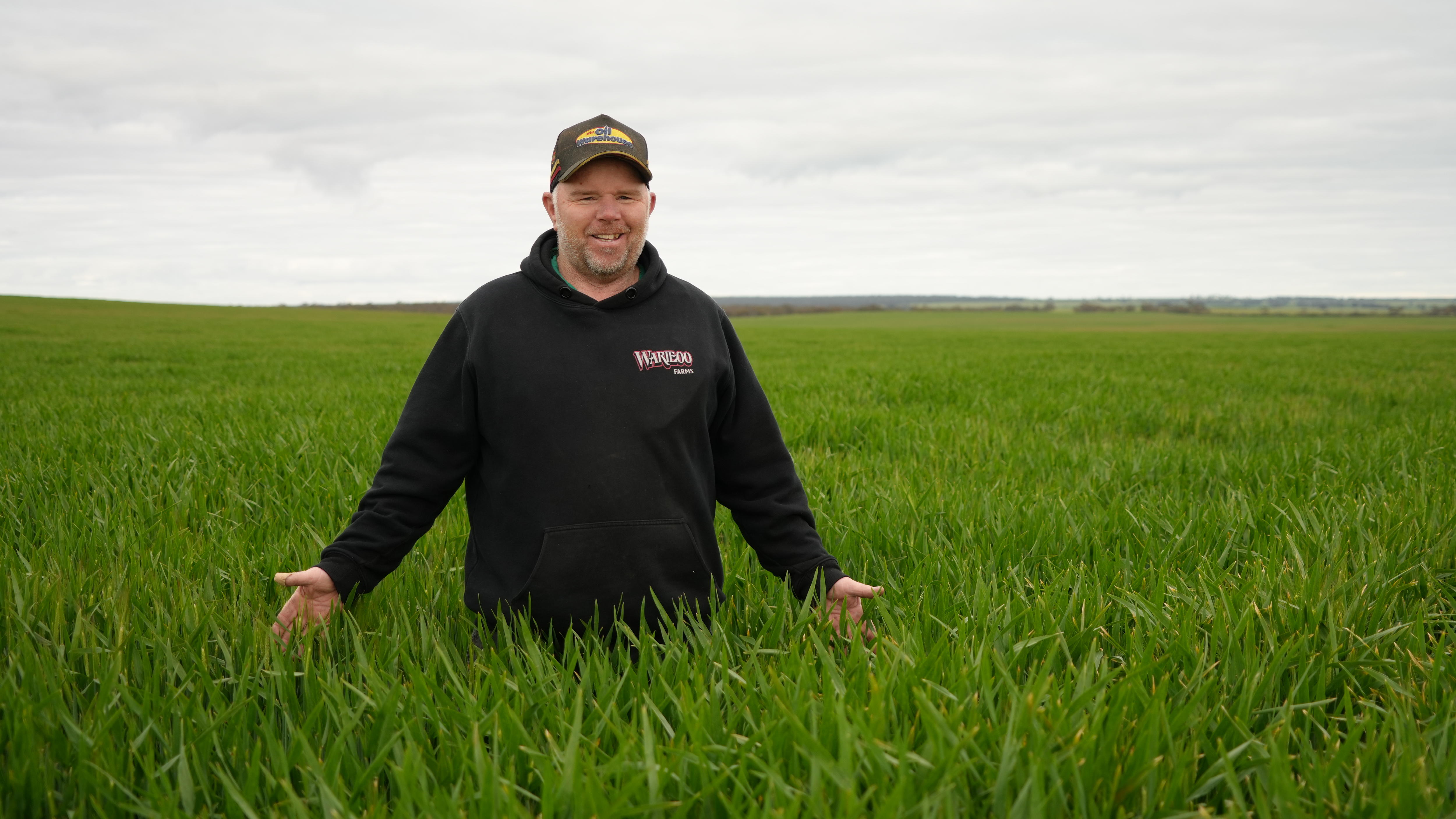 Victorian farmers welcome rain ahead of expected dry summer