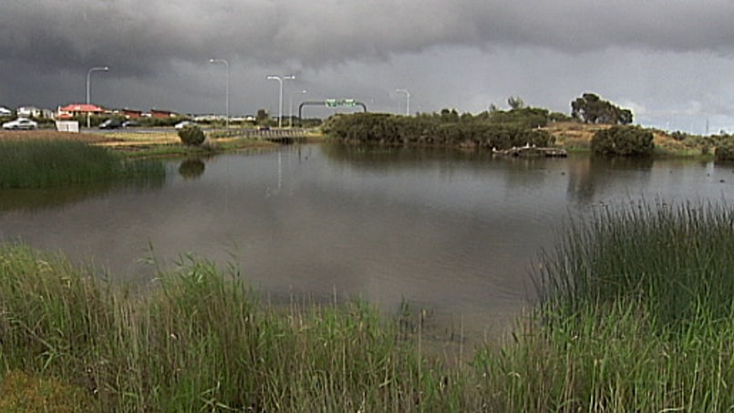 wetlands at Salisbury