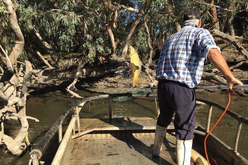 Peter Ingram fishing carp from a boat