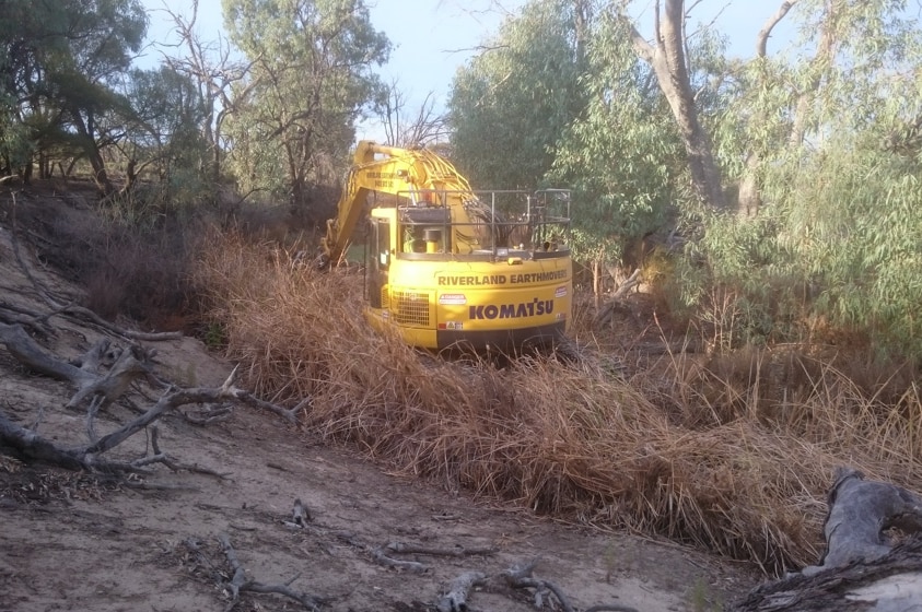 An earthmover clears away reeds along a dry creek bed at Woolenook wetlands.