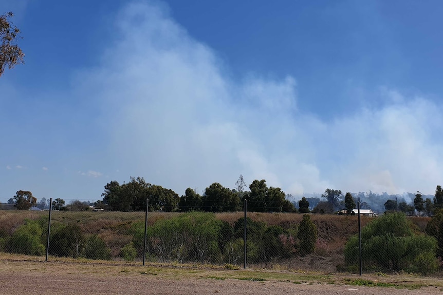 Smoke from a hazard reduction burn rising into a blue sky, with trees, a wire fence, and a dirt road in the foreground.