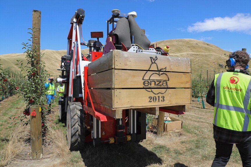 First commercial robotic apple harvest in the world
