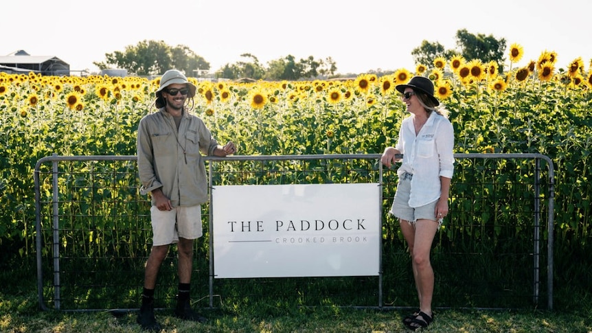 Two people standing at gate to sunflower farm
