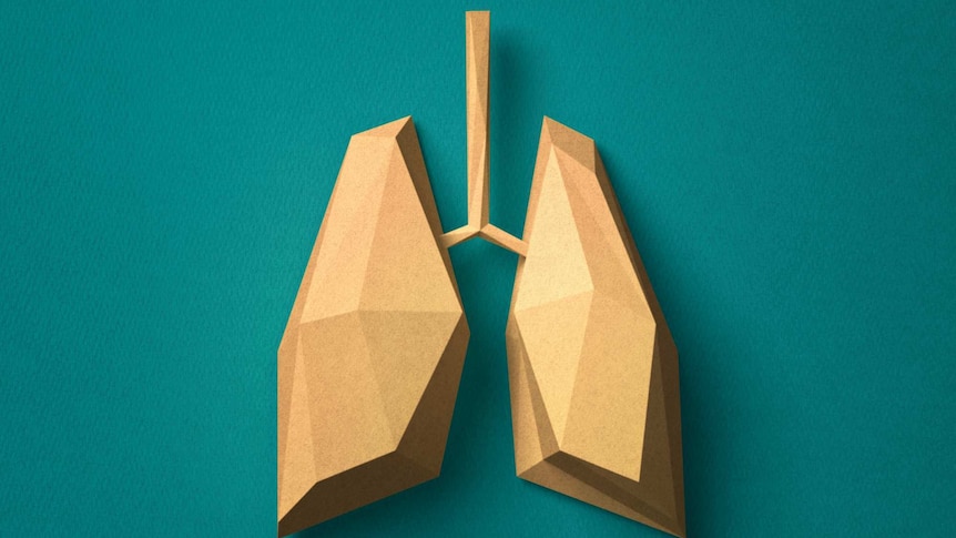 An abstract drawing of lungs