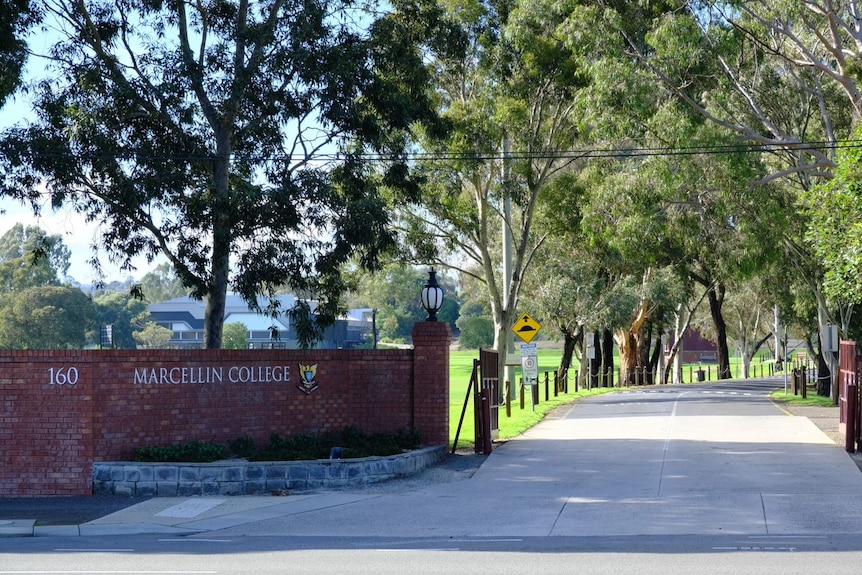 A brick wall with a sign saying Marcellin College alongside a wide, tree-lined driveway.