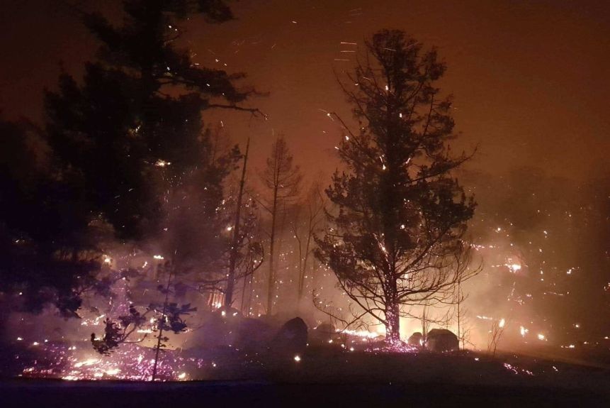 Red embers fly in a dark sky as trees burn in bush