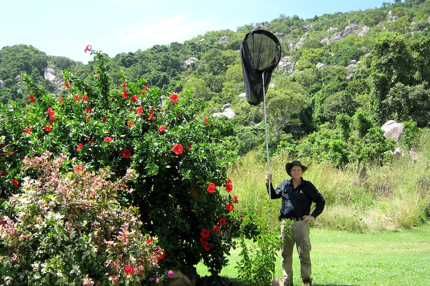 A man standing next to a large flowery bush holding a giant butterfly net