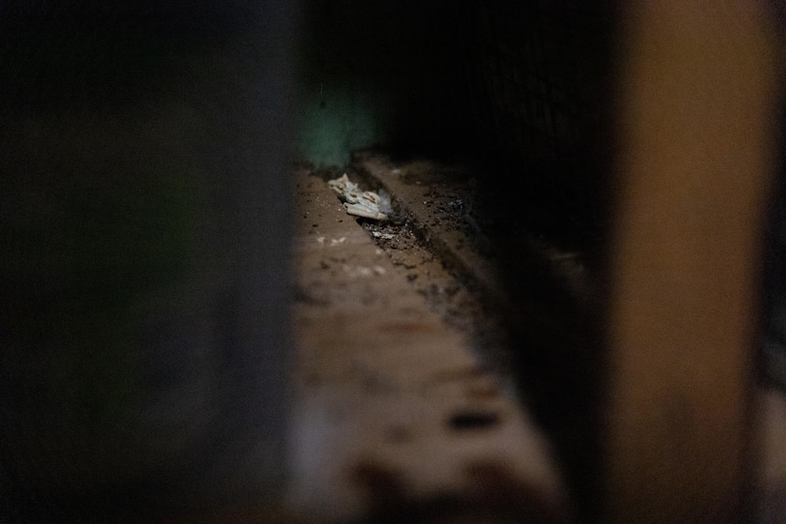 Dirty interiors of a cupboard.