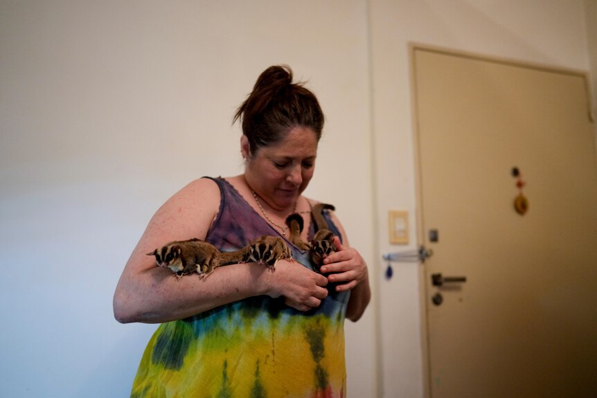 A woman in a loose tie-dye dress balances four sugar gliders on her arms