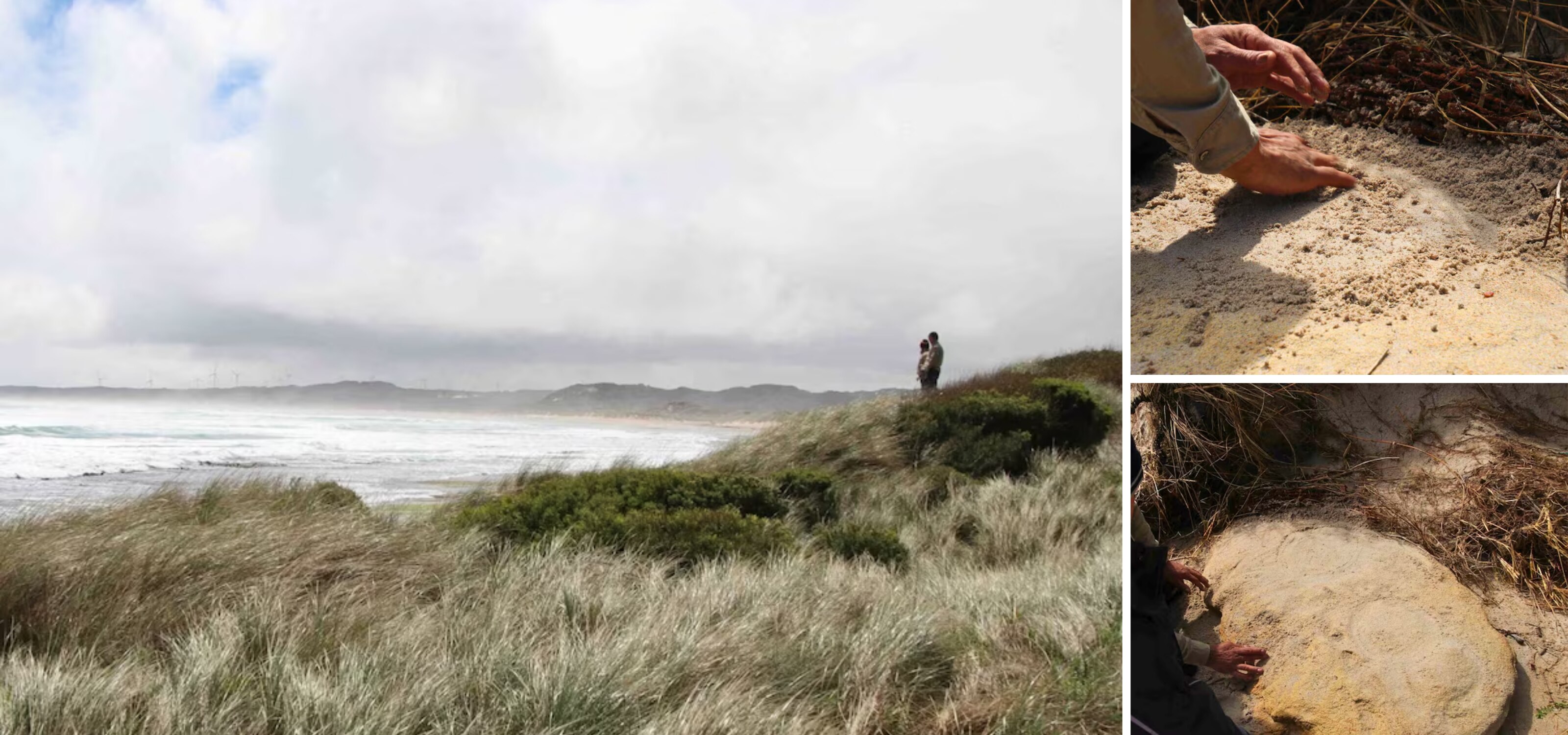 A man crouches next to a round stone with circular carvings on it on a beach. A beach on a cloudy day with windswept grasses