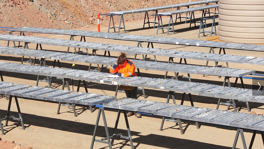 A geologist inspects core samples at Macphersons Rewards gold mine.