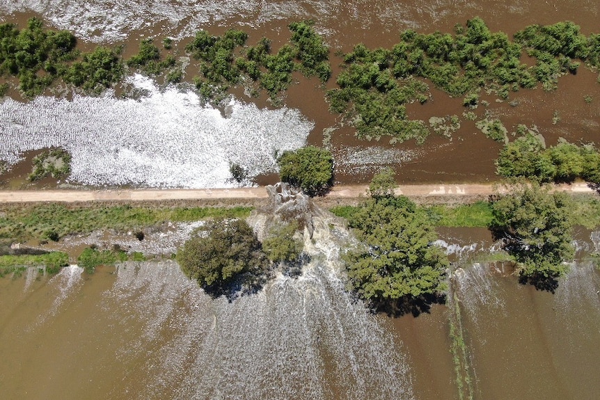 A levee with water flowing from one side to the other