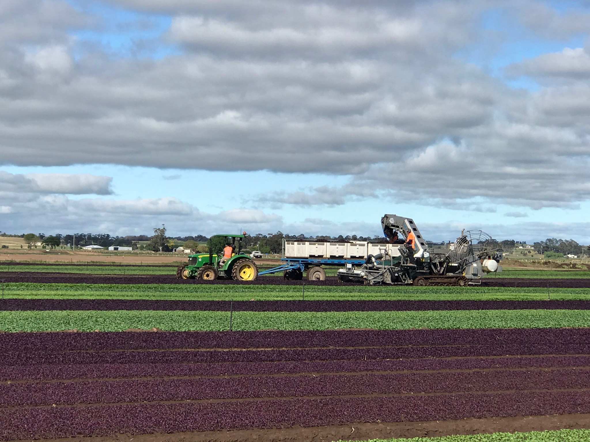 Victoria weather Heavy rain, 'massive flooding' forecast as Premier warns of 'challenging