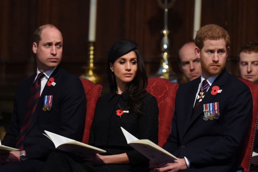 Prince William, Meghan Markle and Prince Harry sit next to each other, all wearing black and poppies.