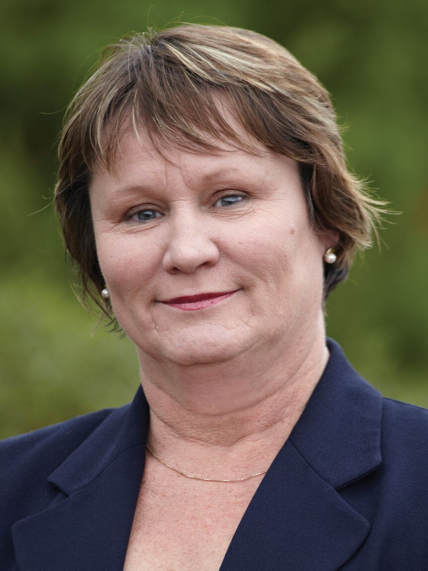 Nicole Lawder, Canberra Liberals candidate for the seat of Brindabella for the 2012 election. Supplied.