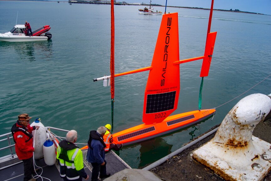 A small orange boat with orange sail reading Saildrone floats in the water and people look on from the dock.