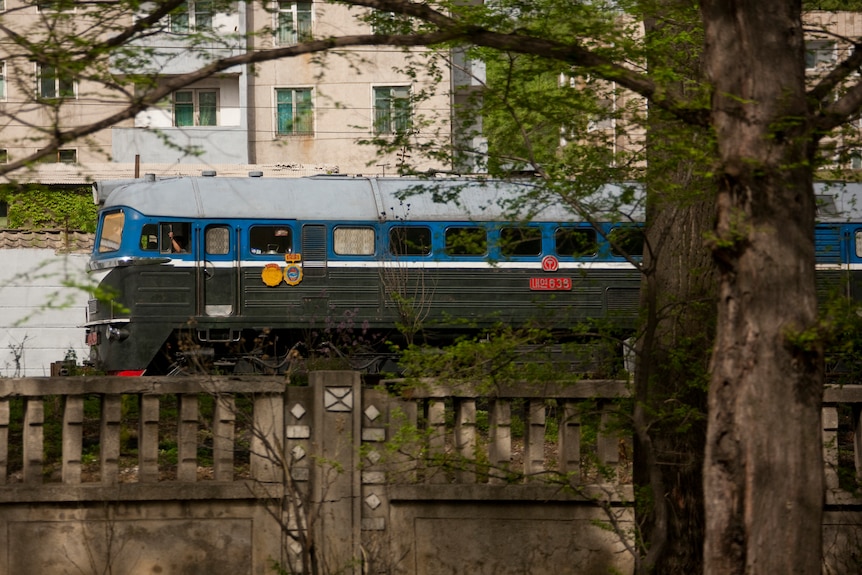 A blue and black North Korean train moves past a row of trees.