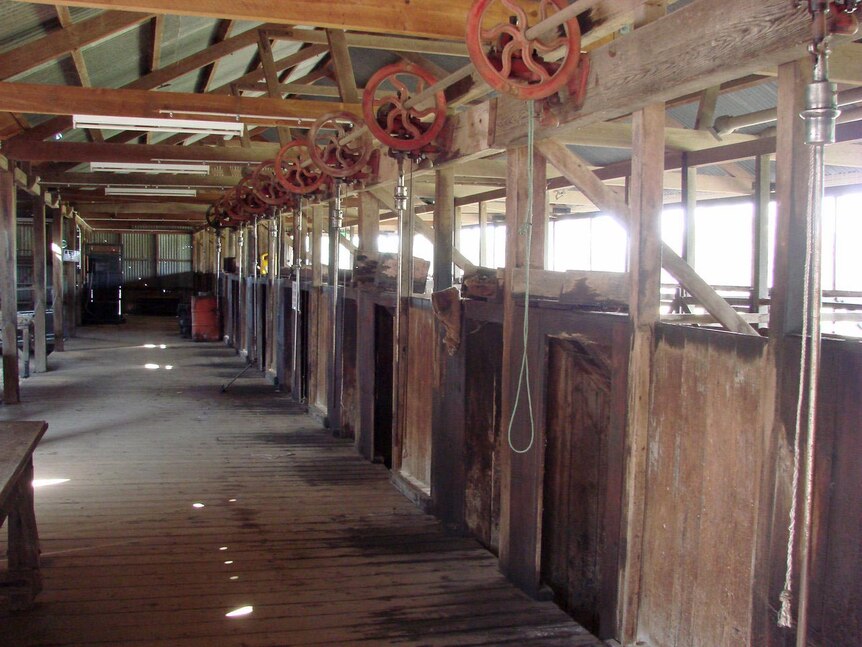 The 20-stand shearing shed inside the Blackall Woolscour.