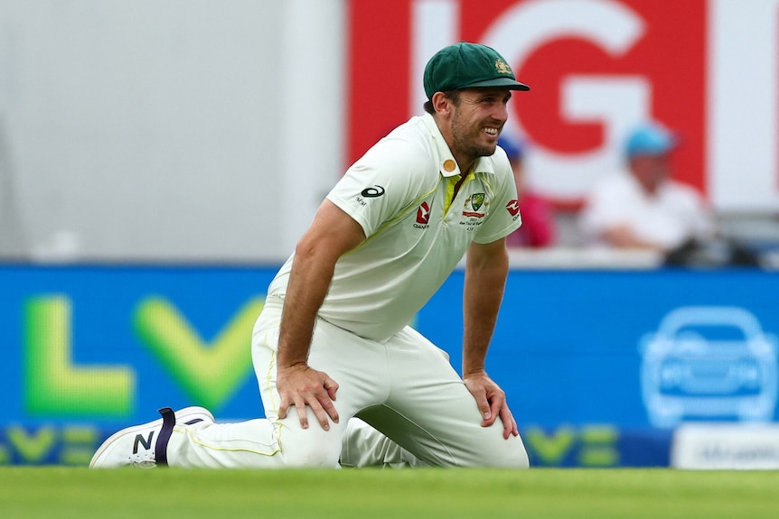 Mitch Marsh on his haunches