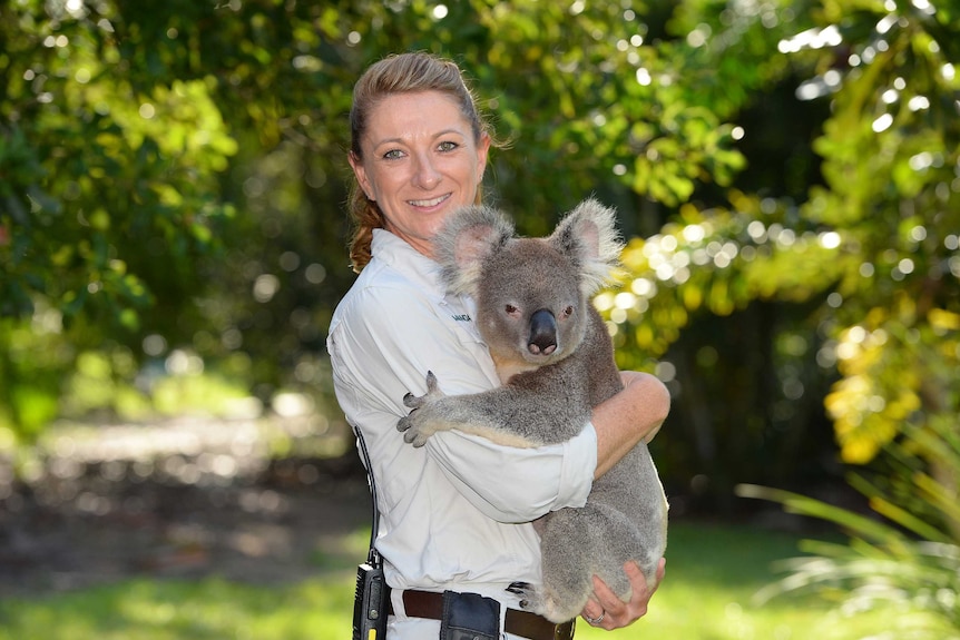 Australia Zoo koala handler Amanda holding 16-year-old koala Lawson
