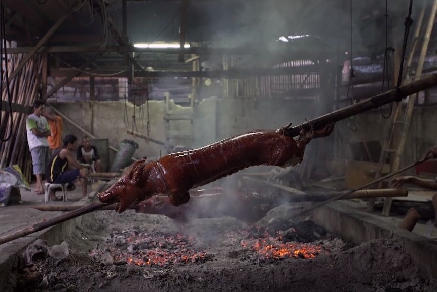 A whole pig on a spit is roasted over open coals.
