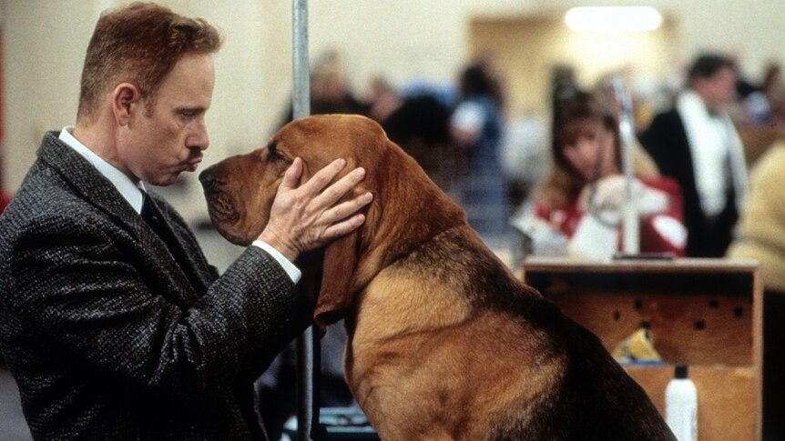 A man with short auburn hair wears shirt with tweed coat and tries to kiss a Bloodhound dog sitting on table in busy room.