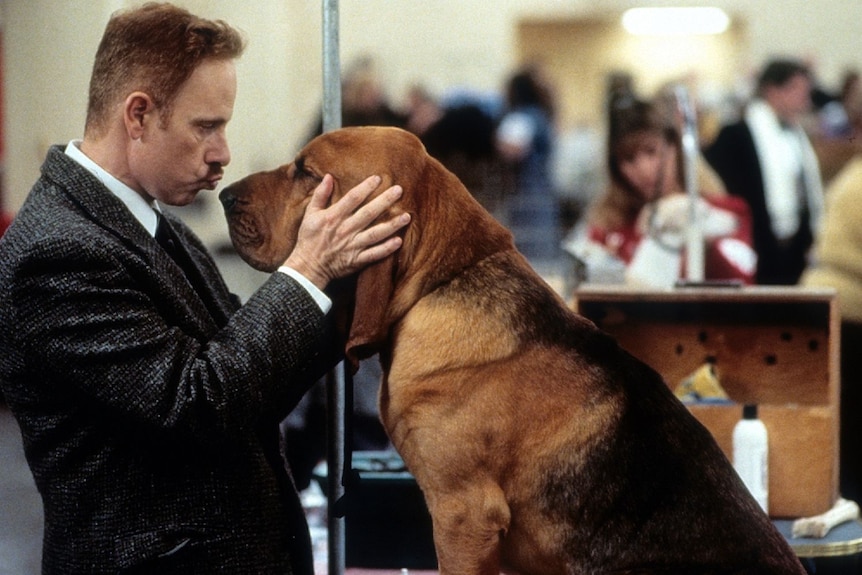 A man with short auburn hair wears shirt with tweed coat and tries to kiss a Bloodhound dog sitting on table in busy room.