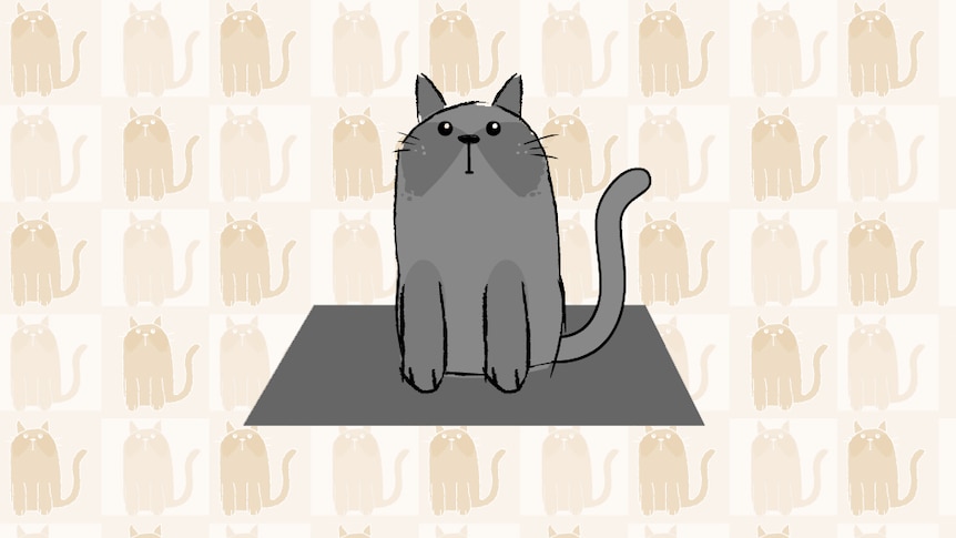 A cartoon cat sits on a mat