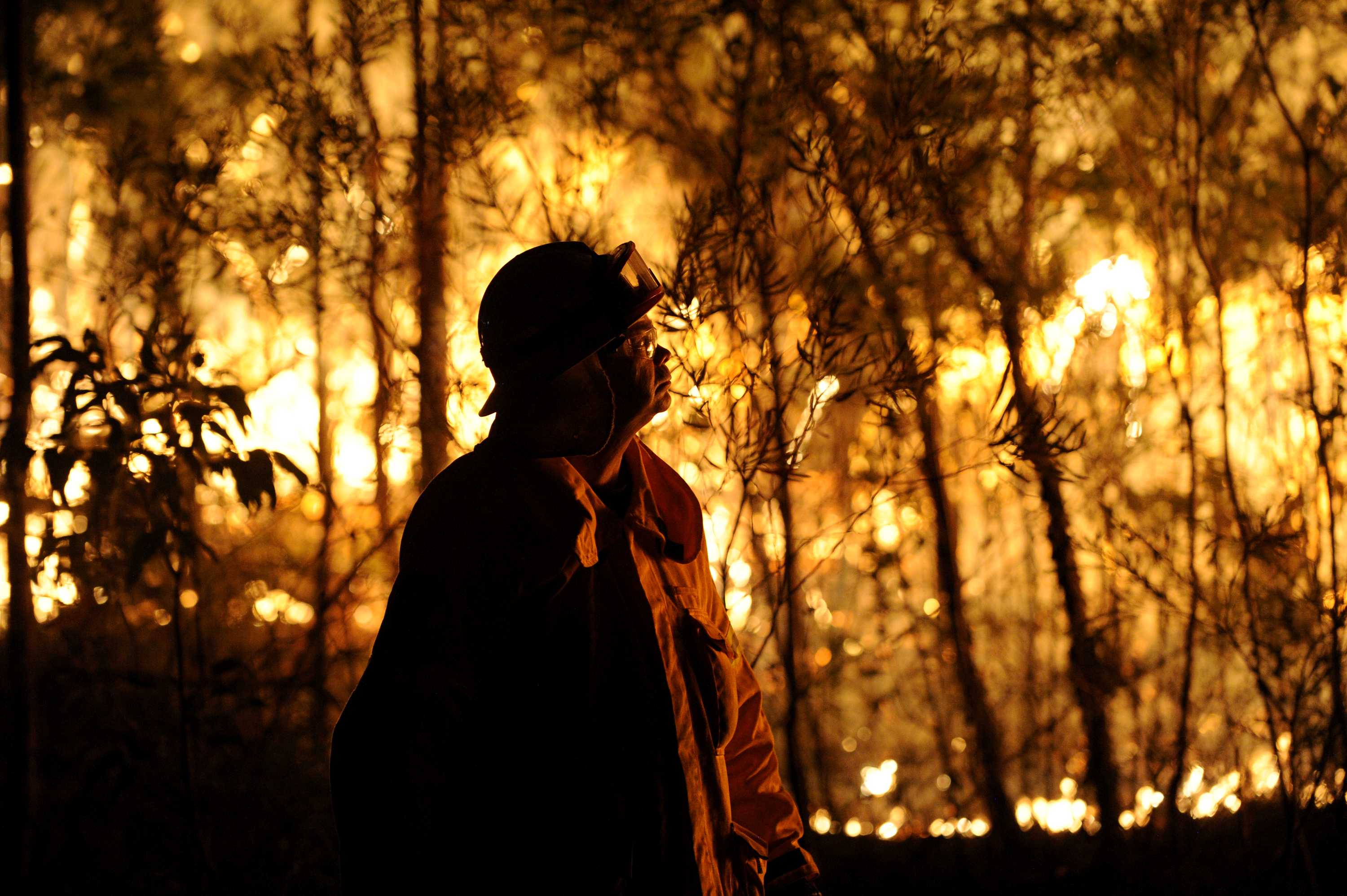 A firefighter assesses a blaze burning close to homes at Springwood in the Blue Mountains