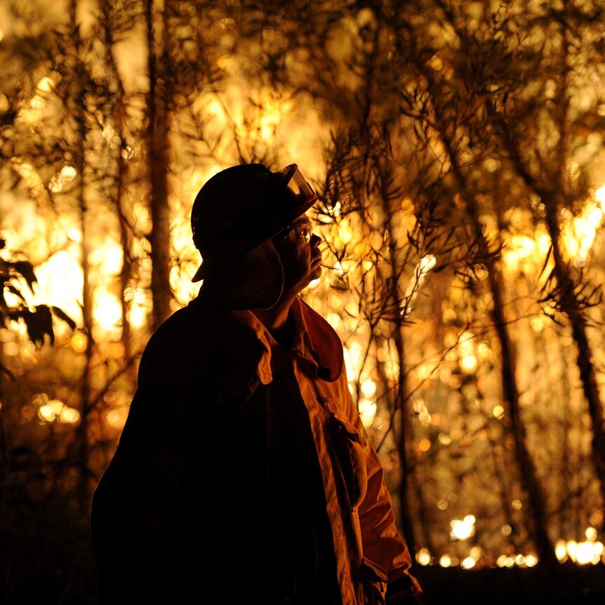 A firefighter assesses a blaze burning close to homes at Springwood in the Blue Mountains