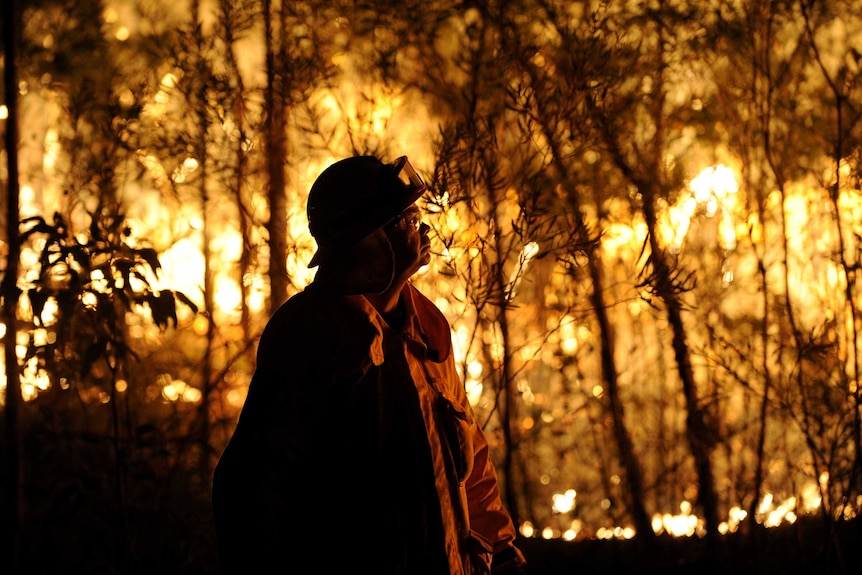 A firefighter assesses a blaze burning close to homes at Springwood in the Blue Mountains