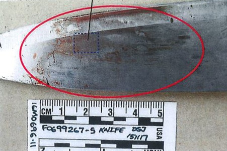 A police evidence image showing the blade of a bloodied knife with a red circle indicating marks on it.
