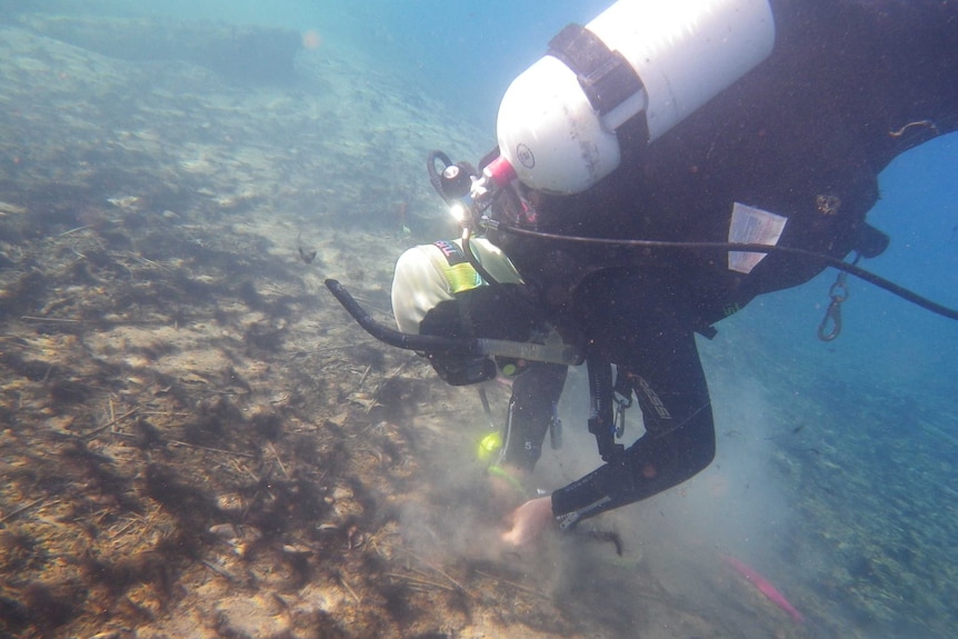 Diving for samples