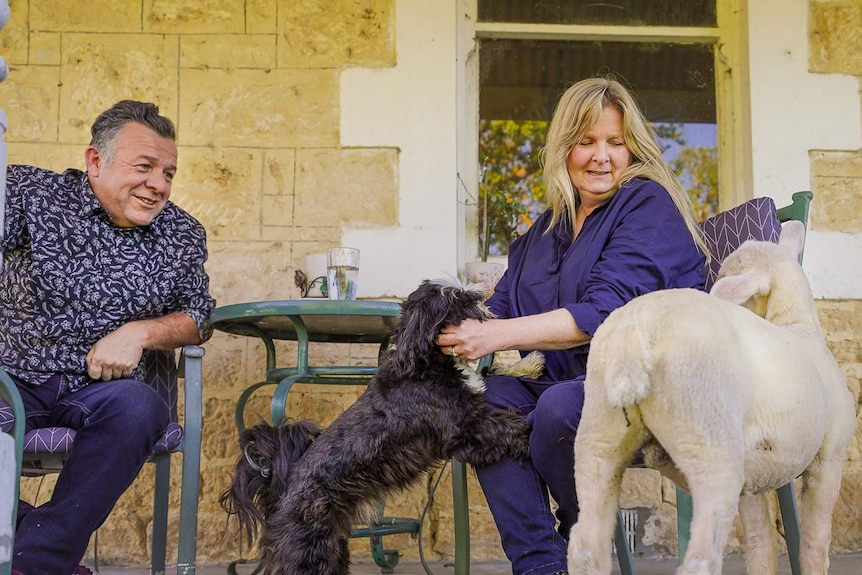 A man and woman sit on chairs on an outdoor porch with a small black god and wandering lamb.